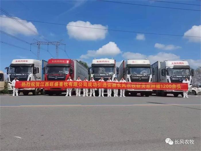 1697608804520867.jpg 111.jpg